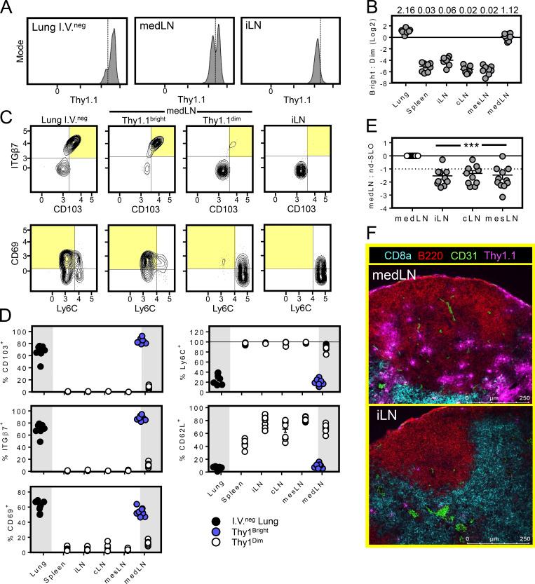 https://cdn.ncbi.nlm.nih.gov/pmc/blobs/b7a8/7398169/df48759df4a9/JEM_20192197_Fig1.jpg