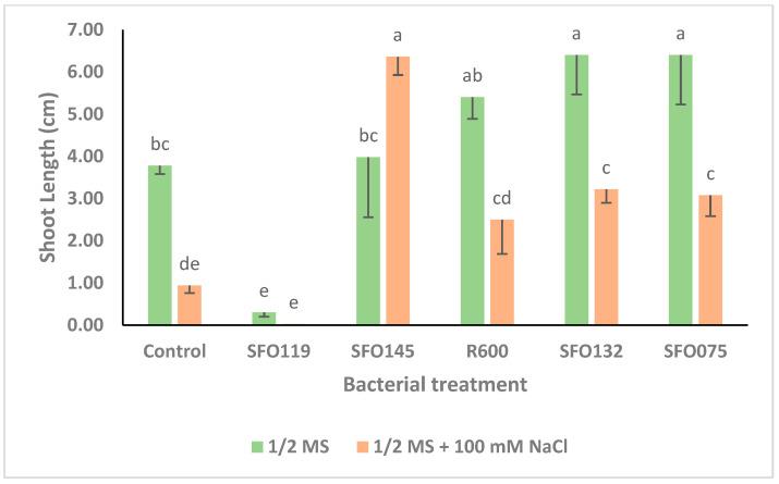 https://cdn.ncbi.nlm.nih.gov/pmc/blobs/b7bf/11991235/cc4e24eb7fea/plants-14-01107-g003.jpg