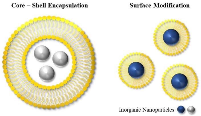 https://cdn.ncbi.nlm.nih.gov/pmc/blobs/b800/10420199/ada9e5e4954e/molecules-28-05694-g004.jpg