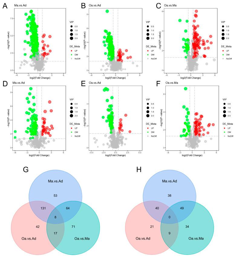 https://cdn.ncbi.nlm.nih.gov/pmc/blobs/b80e/11509300/9c7f3ba33d35/metabolites-14-00558-g002.jpg
