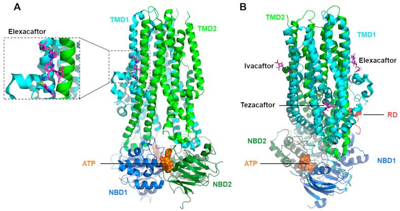 https://cdn.ncbi.nlm.nih.gov/pmc/blobs/b816/10891718/1d06b2644a7a/molecules-29-00821-g005.jpg