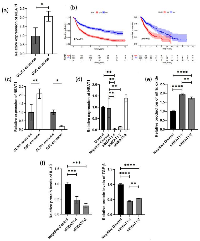 https://cdn.ncbi.nlm.nih.gov/pmc/blobs/b837/11274466/0edcc2ae9863/cancers-16-02500-g006.jpg