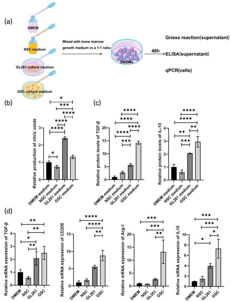 https://cdn.ncbi.nlm.nih.gov/pmc/blobs/b837/11274466/fa873da3cbe7/cancers-16-02500-g003.jpg