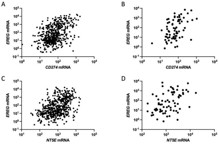 https://cdn.ncbi.nlm.nih.gov/pmc/blobs/b870/10886815/05e1f1ea73a4/cancers-16-00710-g001.jpg