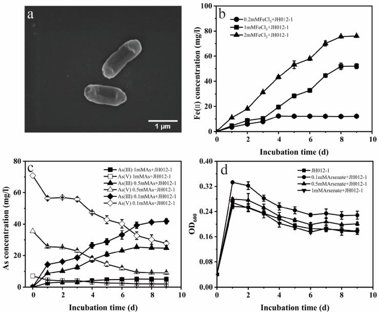 https://cdn.ncbi.nlm.nih.gov/pmc/blobs/b877/8955117/a3cec2534d25/ijerph-19-03465-g004.jpg