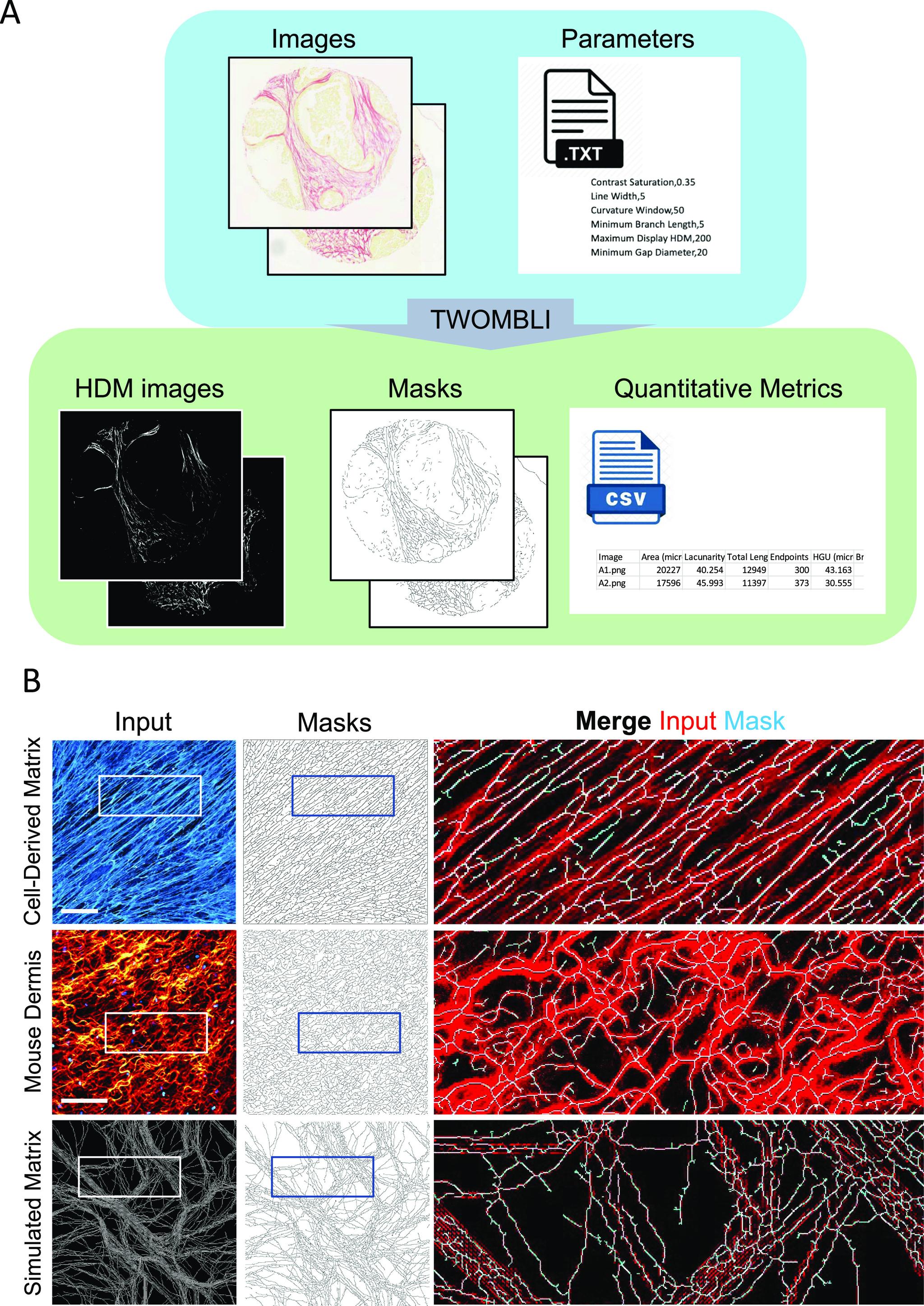 https://cdn.ncbi.nlm.nih.gov/pmc/blobs/b884/7898596/013d930a85cb/LSA-2020-00880_Fig3.jpg
