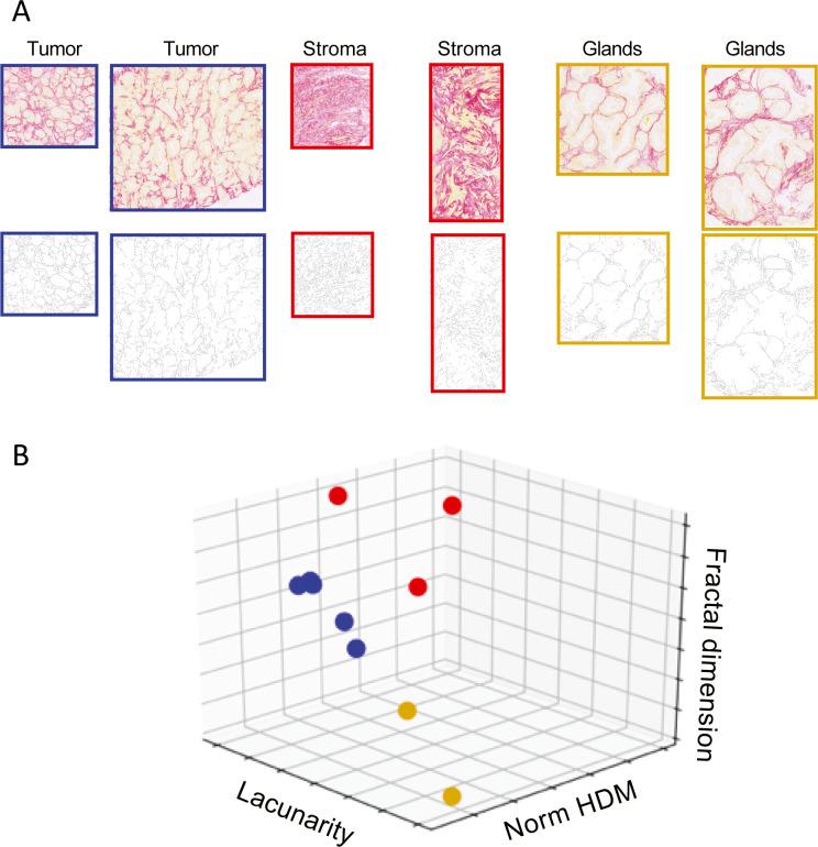 https://cdn.ncbi.nlm.nih.gov/pmc/blobs/b884/7898596/3d8ed56944d8/LSA-2020-00880_FigS7.jpg