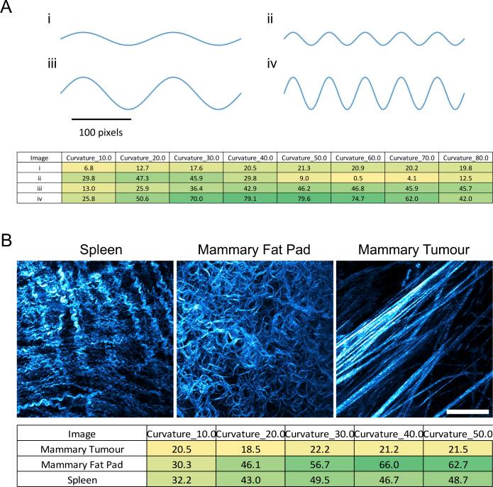 https://cdn.ncbi.nlm.nih.gov/pmc/blobs/b884/7898596/9a3adae9de84/LSA-2020-00880_FigS2.jpg