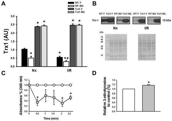 https://cdn.ncbi.nlm.nih.gov/pmc/blobs/b891/4914256/4fdbf47ad0bf/oncotarget-07-11889-g002.jpg