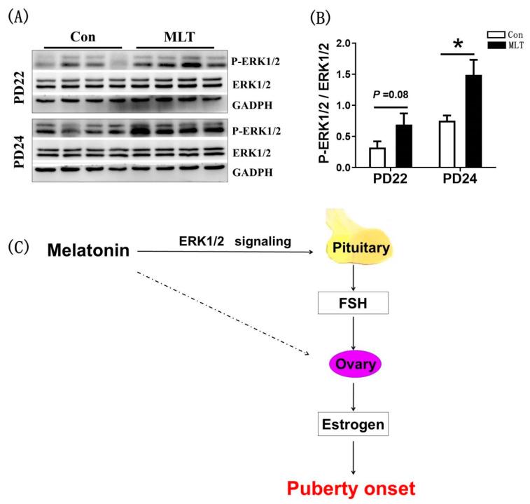 https://cdn.ncbi.nlm.nih.gov/pmc/blobs/b898/7963190/78c3bf3afce8/molecules-26-01474-g005.jpg