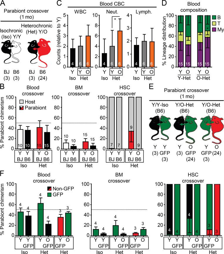 https://cdn.ncbi.nlm.nih.gov/pmc/blobs/b8a8/8155813/e063a580e5e4/JEM_20210223_Fig2.jpg