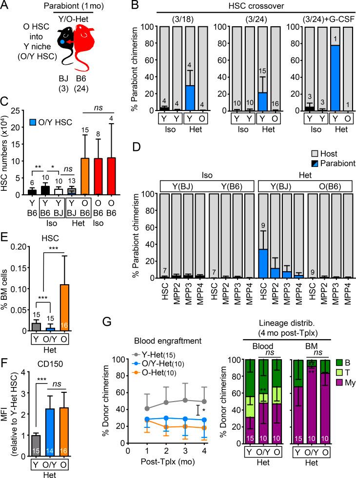 https://cdn.ncbi.nlm.nih.gov/pmc/blobs/b8a8/8155813/e36ea7d34462/JEM_20210223_Fig6.jpg
