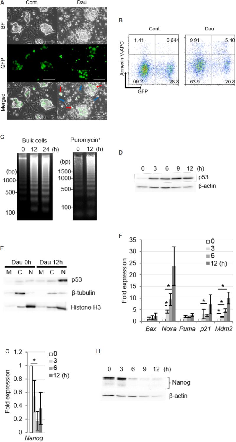 https://cdn.ncbi.nlm.nih.gov/pmc/blobs/b8b1/8992628/1007a7bd0596/cdr-2-335.fig.2.jpg