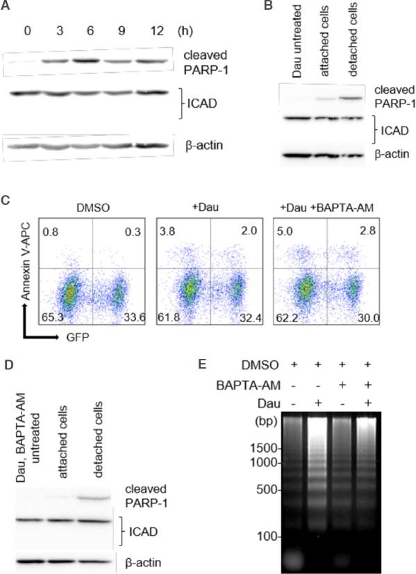 https://cdn.ncbi.nlm.nih.gov/pmc/blobs/b8b1/8992628/4eea0b14a818/cdr-2-335.fig.4.jpg