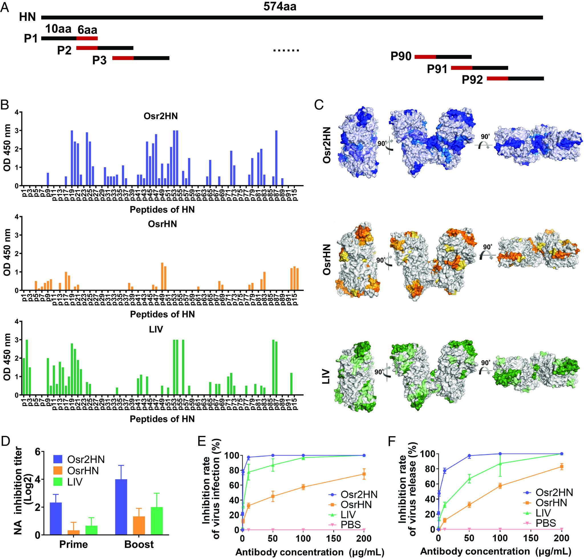 https://cdn.ncbi.nlm.nih.gov/pmc/blobs/b8c4/10823241/2eb7766ce041/pnas.2305745121fig05.jpg
