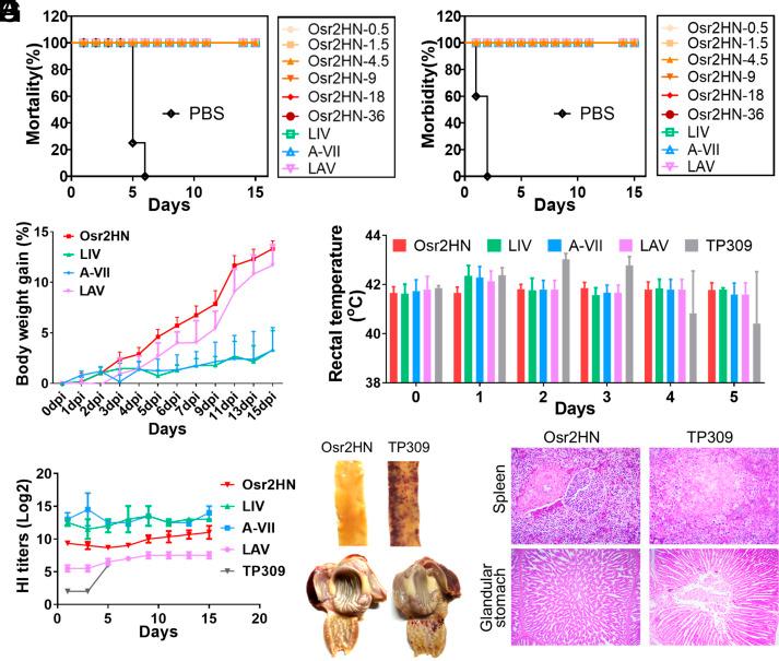 https://cdn.ncbi.nlm.nih.gov/pmc/blobs/b8c4/10823241/eab6782ce724/pnas.2305745121fig06.jpg