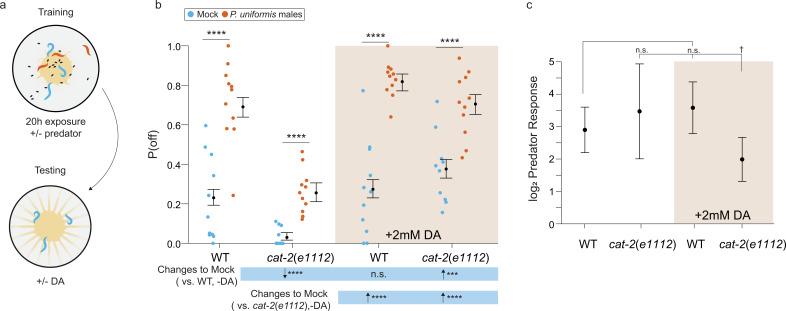 https://cdn.ncbi.nlm.nih.gov/pmc/blobs/b905/10335835/48ff6dacf79e/elife-83957-fig7.jpg