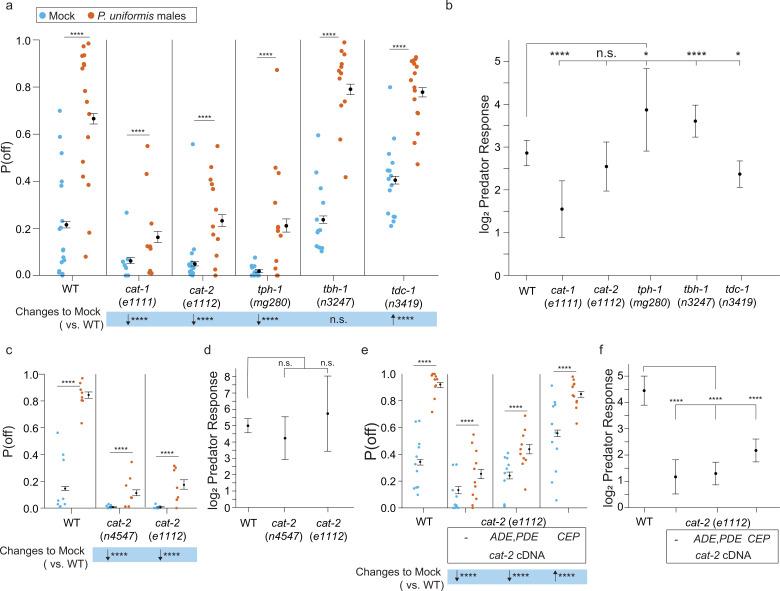 https://cdn.ncbi.nlm.nih.gov/pmc/blobs/b905/10335835/99df07f2d8e0/elife-83957-fig6.jpg