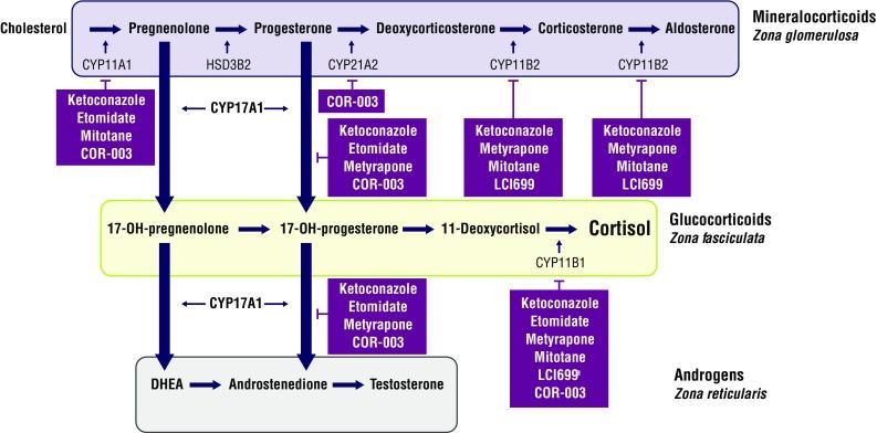 https://cdn.ncbi.nlm.nih.gov/pmc/blobs/b90b/5080363/21a80f7b029d/11102_2016_742_Fig1_HTML.jpg