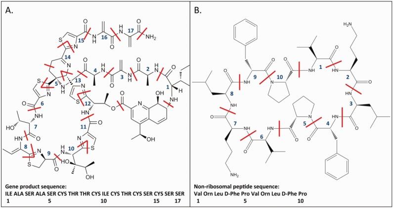 https://cdn.ncbi.nlm.nih.gov/pmc/blobs/b91c/3992913/c0d850948a2a/bip0101-0659-f1.jpg