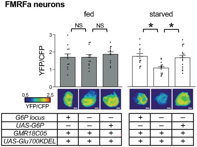 https://cdn.ncbi.nlm.nih.gov/pmc/blobs/b92a/11287260/38ac9d702323/pnas.2319958121fig04.jpg