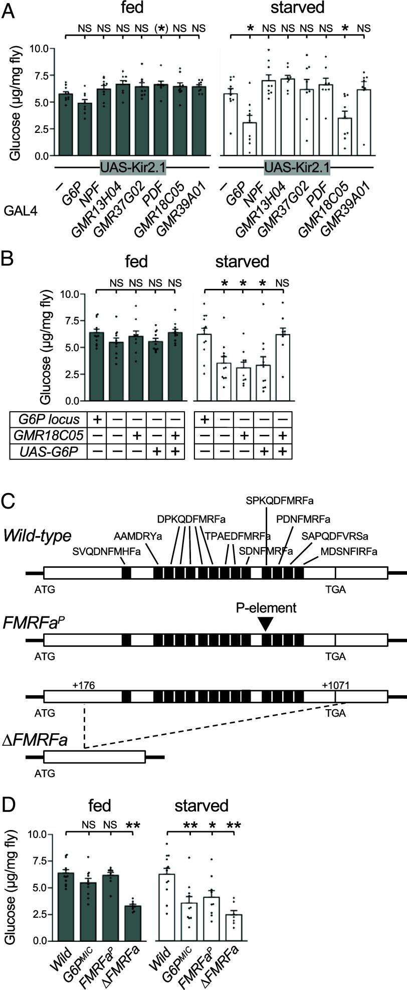 https://cdn.ncbi.nlm.nih.gov/pmc/blobs/b92a/11287260/8abfa16e0faf/pnas.2319958121fig02.jpg