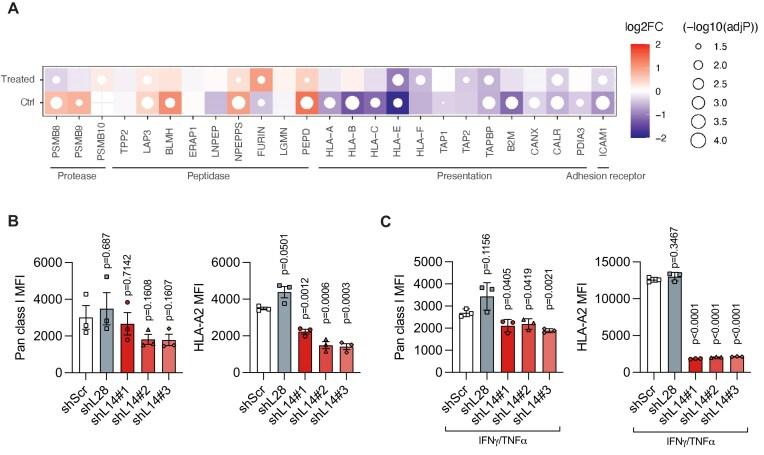 https://cdn.ncbi.nlm.nih.gov/pmc/blobs/b937/12409406/ad91a174204a/zcaf024fig2.jpg