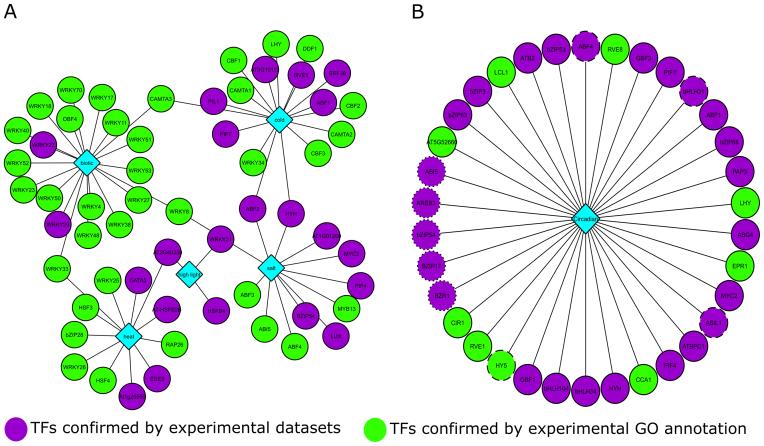 https://cdn.ncbi.nlm.nih.gov/pmc/blobs/b953/5888541/342fa3f2a1b8/gkx1279fig5.jpg