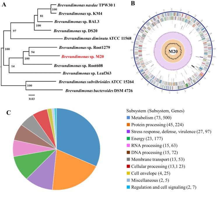 https://cdn.ncbi.nlm.nih.gov/pmc/blobs/b957/10190100/6c08d58a08a7/12866_2023_2876_Fig1_HTML.jpg