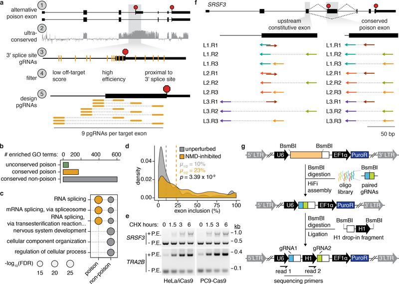 https://cdn.ncbi.nlm.nih.gov/pmc/blobs/b98a/6962552/5c3295e8584f/nihms-1544279-f0003.jpg