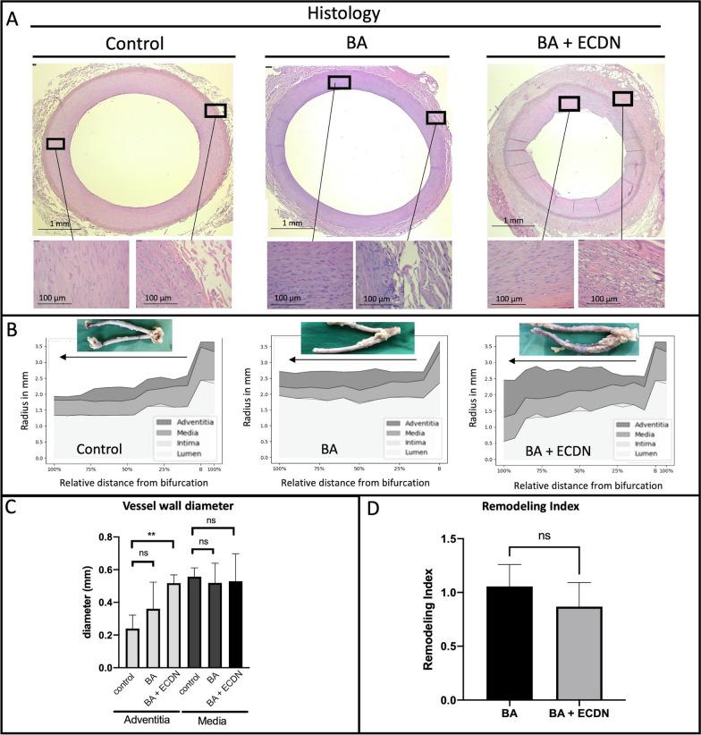 https://cdn.ncbi.nlm.nih.gov/pmc/blobs/b98f/10546783/7fc4ecc9acd8/12968_2023_964_Fig3_HTML.jpg