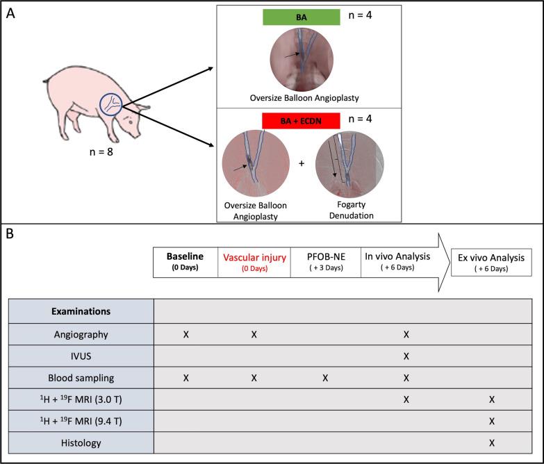 https://cdn.ncbi.nlm.nih.gov/pmc/blobs/b98f/10546783/87a3ce130625/12968_2023_964_Fig1_HTML.jpg