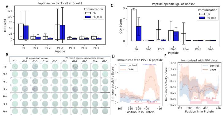 https://cdn.ncbi.nlm.nih.gov/pmc/blobs/b99c/11946625/d3737cbad978/vaccines-13-00239-g004.jpg
