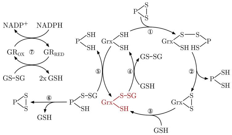 https://cdn.ncbi.nlm.nih.gov/pmc/blobs/b9a8/7503856/1d234d635dde/molecules-25-03860-g002.jpg