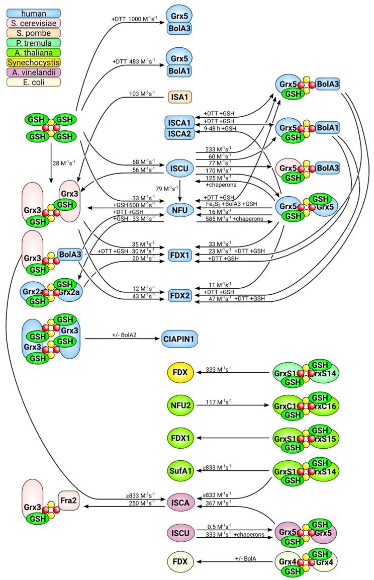 https://cdn.ncbi.nlm.nih.gov/pmc/blobs/b9a8/7503856/5d92dff33975/molecules-25-03860-g005.jpg