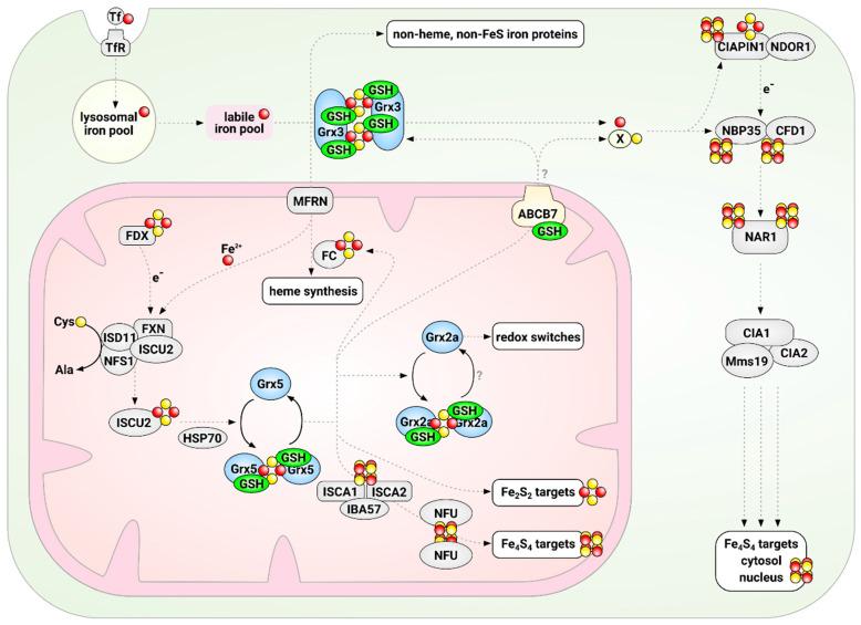 https://cdn.ncbi.nlm.nih.gov/pmc/blobs/b9a8/7503856/6d0cbcb743a1/molecules-25-03860-g001.jpg