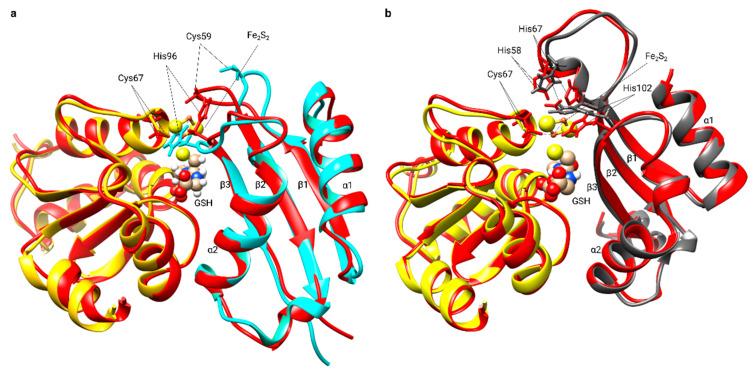 https://cdn.ncbi.nlm.nih.gov/pmc/blobs/b9a8/7503856/c3f46e0b6683/molecules-25-03860-g006.jpg