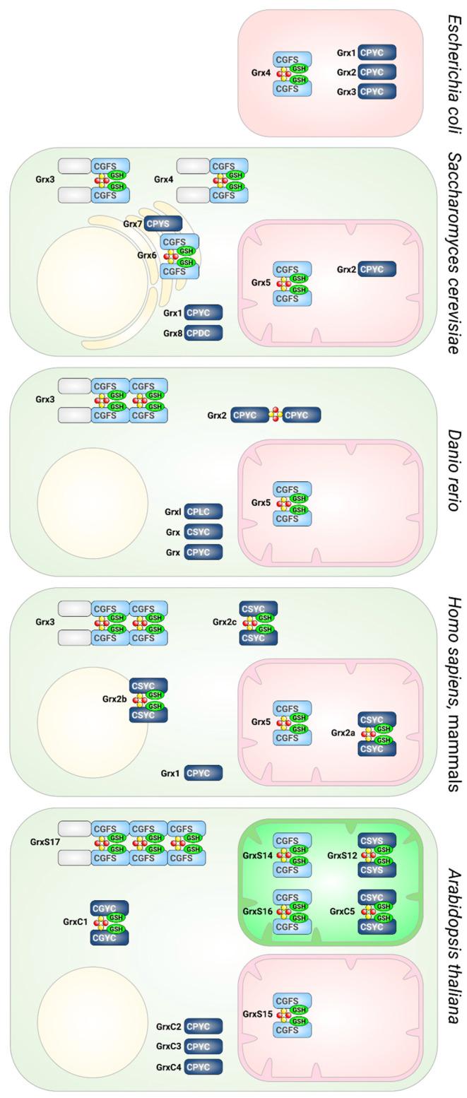 https://cdn.ncbi.nlm.nih.gov/pmc/blobs/b9a8/7503856/da5b1da4eeb5/molecules-25-03860-g004.jpg