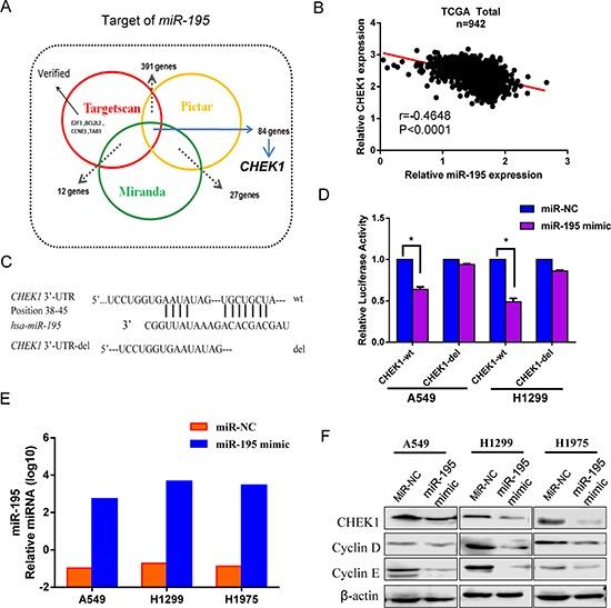 https://cdn.ncbi.nlm.nih.gov/pmc/blobs/b9bc/4496229/ce2eabd44224/oncotarget-06-9445-g004.jpg