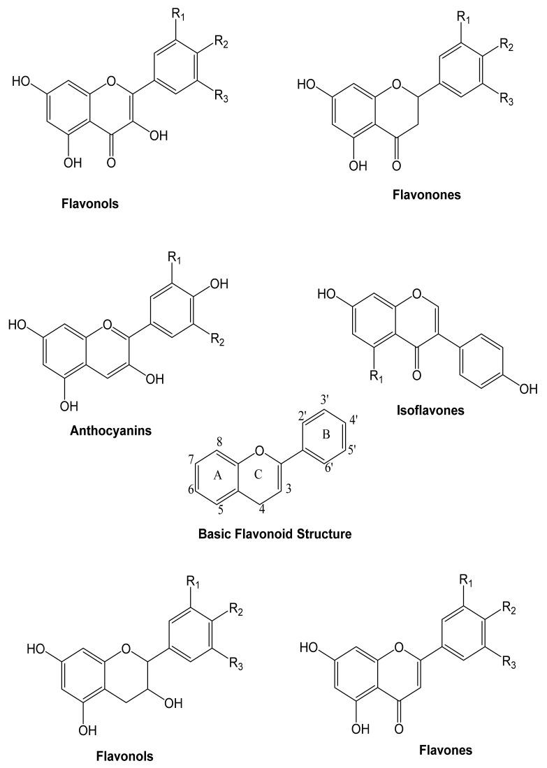 https://cdn.ncbi.nlm.nih.gov/pmc/blobs/b9d3/8746501/748a327bdccc/molecules-27-00233-g003.jpg