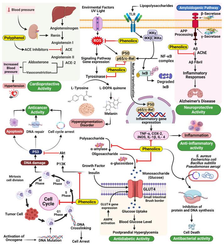 https://cdn.ncbi.nlm.nih.gov/pmc/blobs/b9d3/8746501/9c6dadbe3e23/molecules-27-00233-g007.jpg