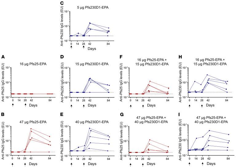 https://cdn.ncbi.nlm.nih.gov/pmc/blobs/b9d5/8011888/e69bb31faeb3/jci-131-146221-g079.jpg