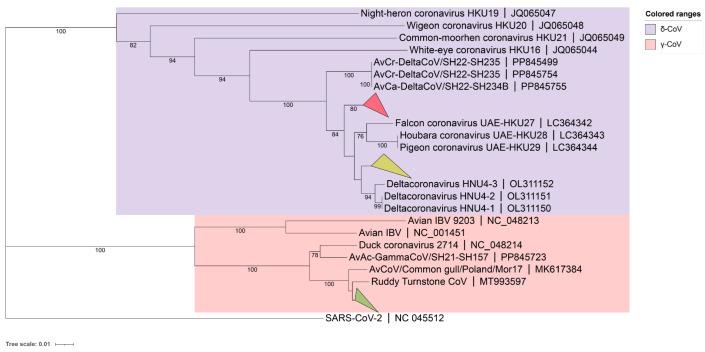 https://cdn.ncbi.nlm.nih.gov/pmc/blobs/b9da/12029519/3c552fa8f445/microorganisms-13-00874-g001.jpg