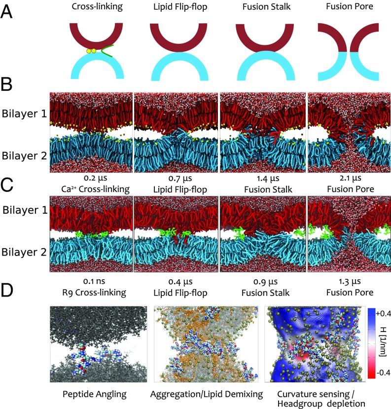 https://cdn.ncbi.nlm.nih.gov/pmc/blobs/b9ef/6255155/239a5495e51d/pnas.1811520115fig05.jpg