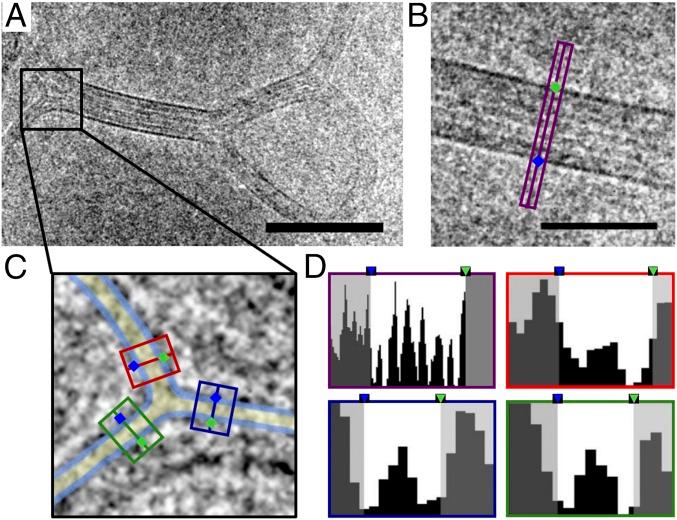 https://cdn.ncbi.nlm.nih.gov/pmc/blobs/b9ef/6255155/a066e3b83fb0/pnas.1811520115fig03.jpg