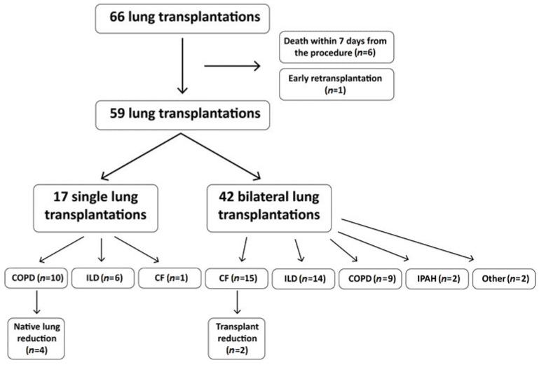 https://cdn.ncbi.nlm.nih.gov/pmc/blobs/b9f0/9961556/72f504c29d04/pathogens-12-00306-g001.jpg