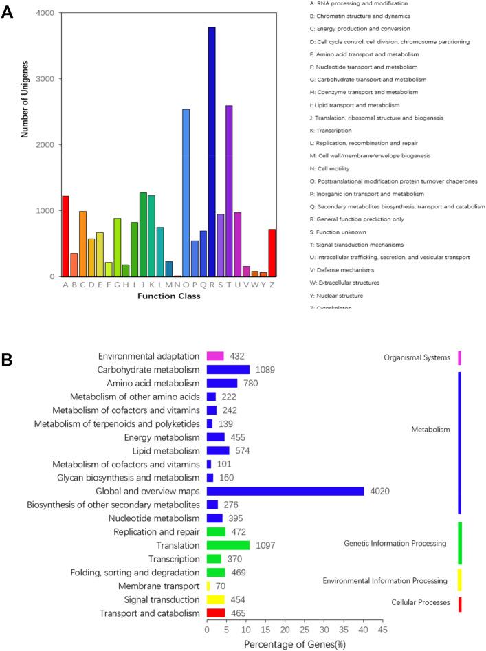 https://cdn.ncbi.nlm.nih.gov/pmc/blobs/ba08/7806653/9c7b3fdf2c40/41598_2020_80329_Fig4_HTML.jpg