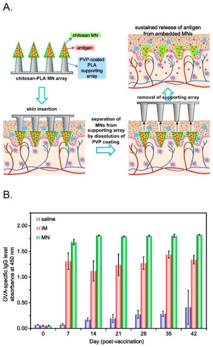 https://cdn.ncbi.nlm.nih.gov/pmc/blobs/ba0c/6274840/c9f99fae3fa3/ijms-19-03639-g005.jpg