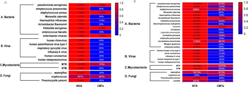 https://cdn.ncbi.nlm.nih.gov/pmc/blobs/ba1b/11237526/999107f21790/spectrum.00026-24.f010.jpg