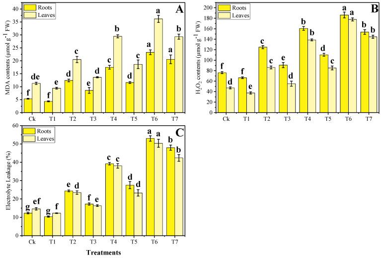 https://cdn.ncbi.nlm.nih.gov/pmc/blobs/ba50/7569802/30155a92a09b/plants-09-01145-g002.jpg
